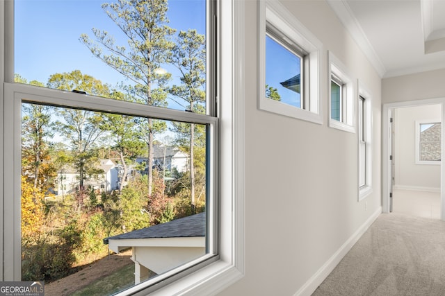 hall with crown molding and carpet flooring