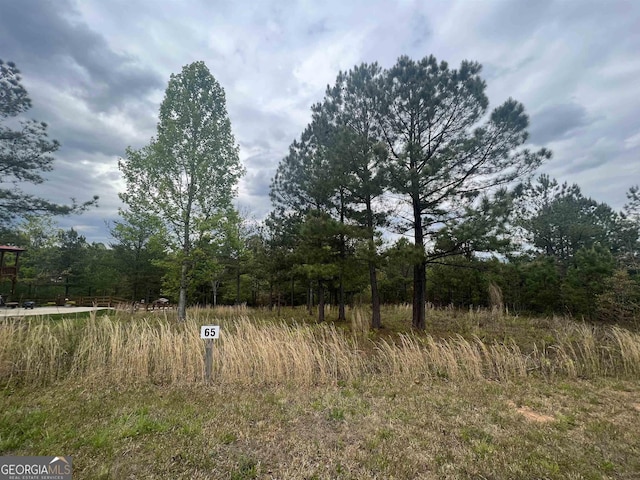 LOT65 Village Loop, Blairsville GA, 30512 land for sale