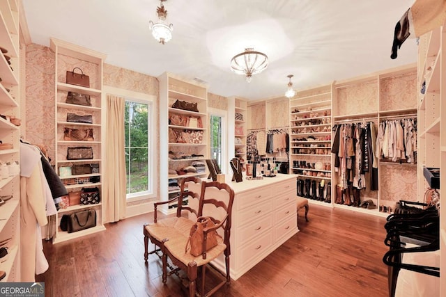 spacious closet with a chandelier and wood-type flooring