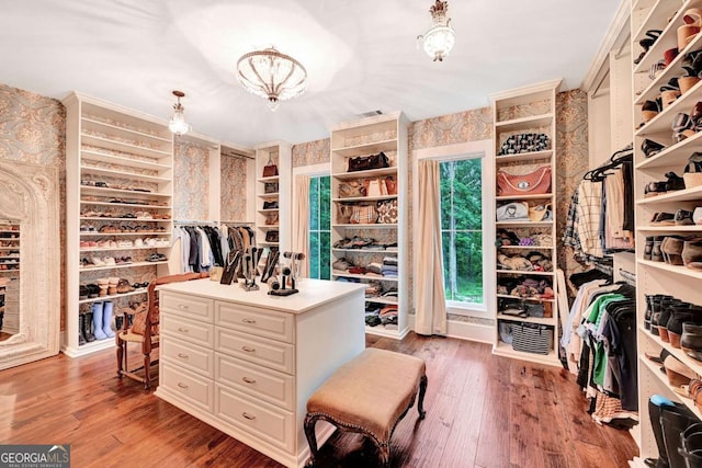 spacious closet with hardwood / wood-style flooring