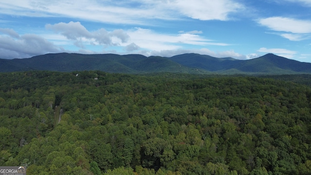 property view of mountains