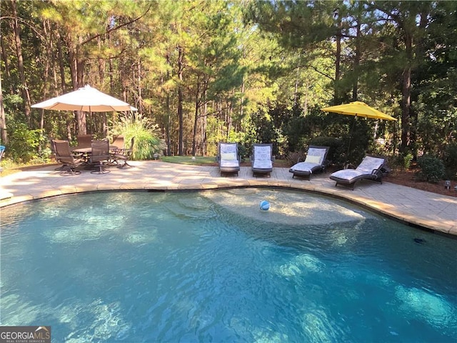 view of swimming pool featuring a patio