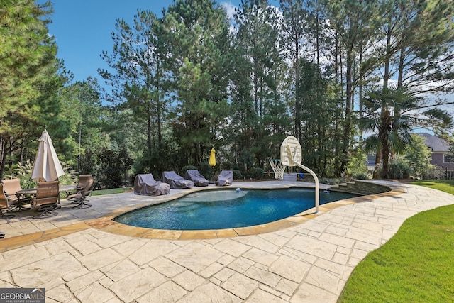 view of swimming pool with a patio