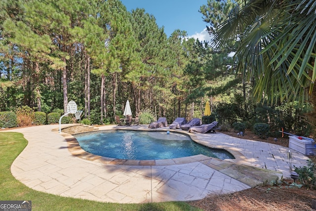 view of swimming pool with a patio