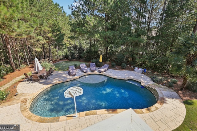 view of swimming pool with a patio