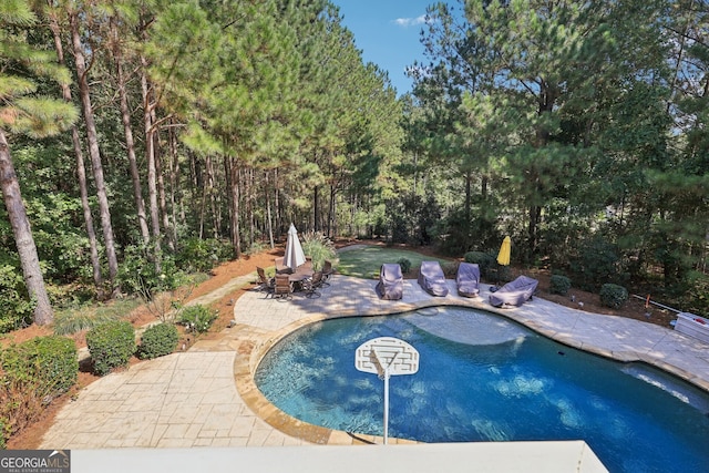 view of swimming pool featuring a patio area