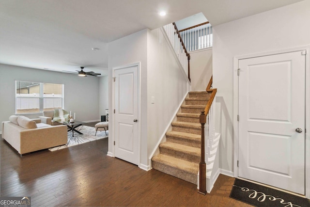 staircase with hardwood / wood-style flooring and ceiling fan