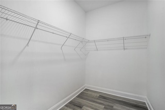 spacious closet with dark wood-type flooring