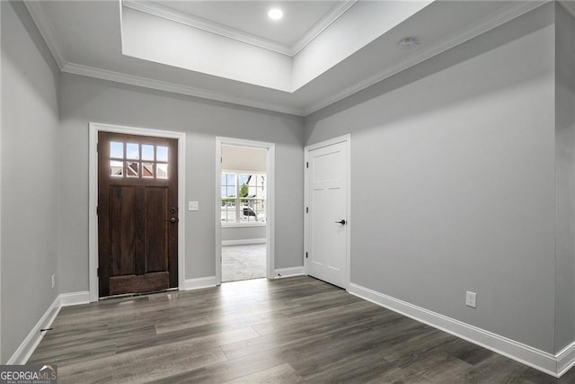 foyer entrance with dark hardwood / wood-style floors, a raised ceiling, and crown molding