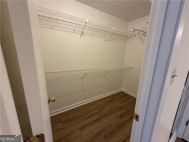 spacious closet featuring dark hardwood / wood-style flooring