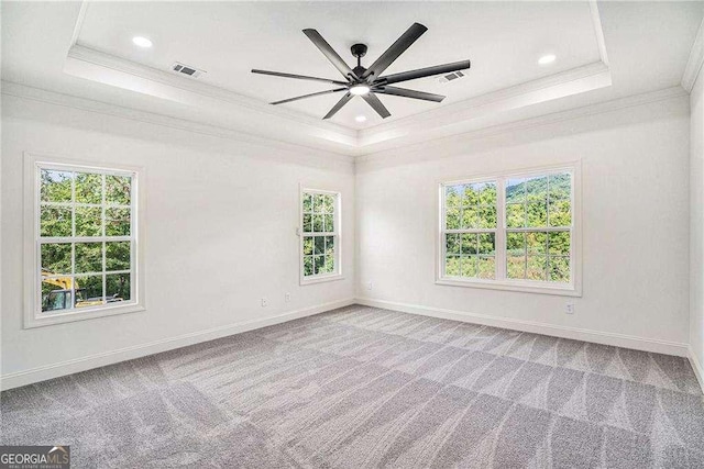 empty room with carpet, a raised ceiling, and a wealth of natural light