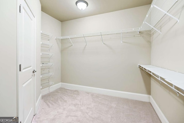 spacious closet with light carpet