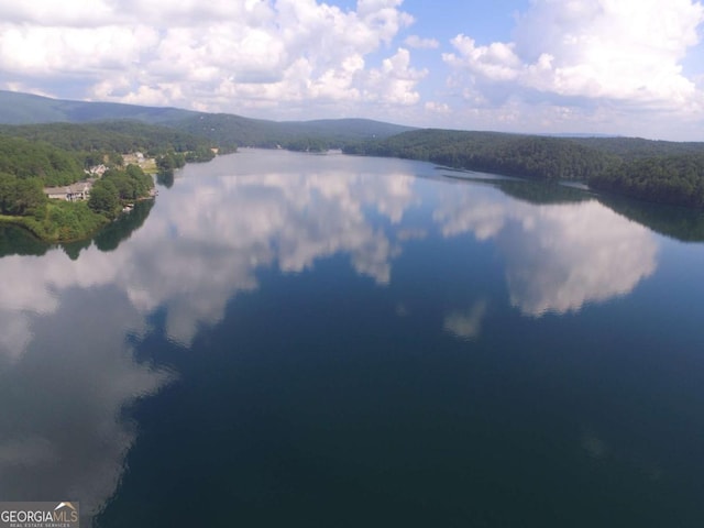 property view of water featuring a mountain view