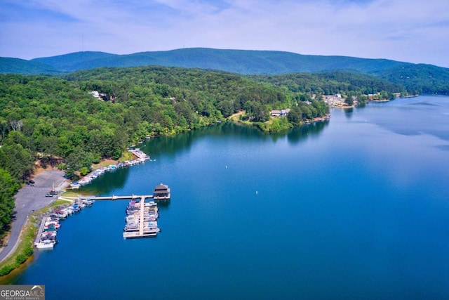 bird's eye view with a water and mountain view