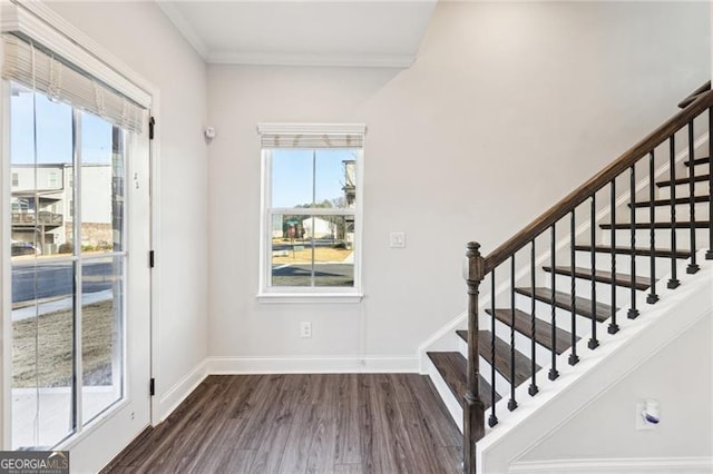 interior space featuring dark hardwood / wood-style floors and ornamental molding