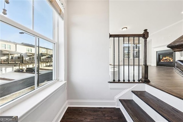 stairway featuring wood-type flooring and a wealth of natural light