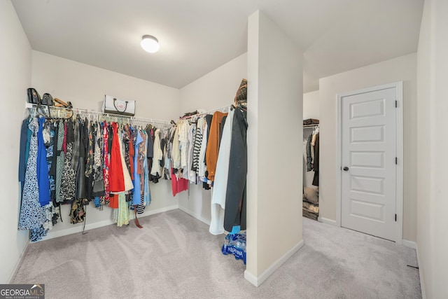 spacious closet featuring carpet floors