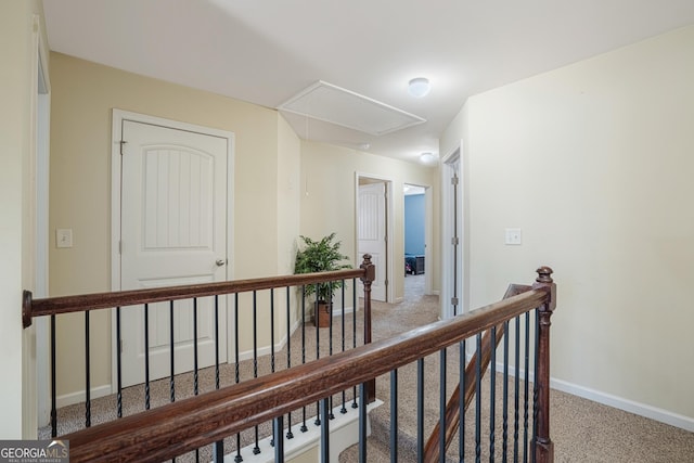 hallway with carpet floors