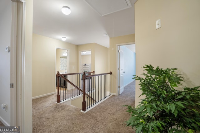 hallway with carpet