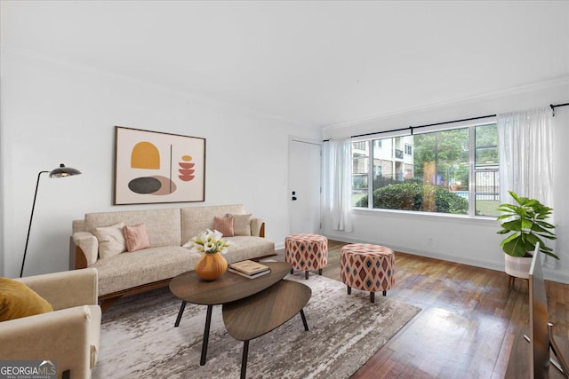 living room featuring wood-type flooring