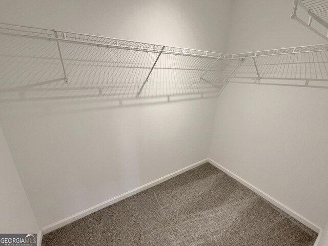 walk in closet featuring carpet floors