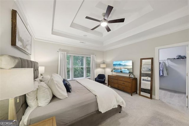 carpeted bedroom featuring a walk in closet, ceiling fan, ornamental molding, a tray ceiling, and a closet