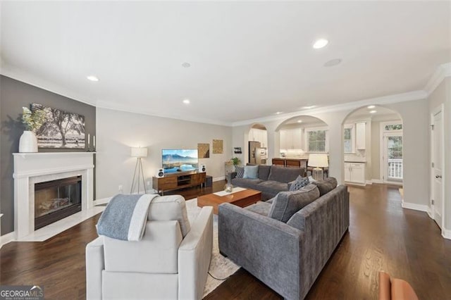 living room featuring ornamental molding and dark wood-type flooring