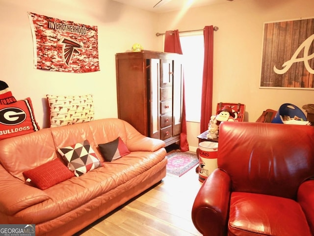 living room with hardwood / wood-style floors