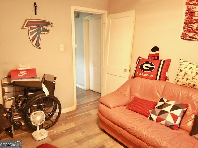 living room featuring hardwood / wood-style floors