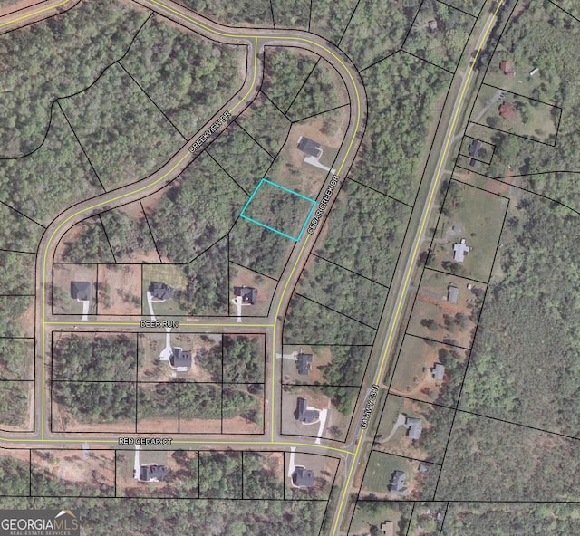 80 Cedar Creek Dr, Forsyth, GA 31029