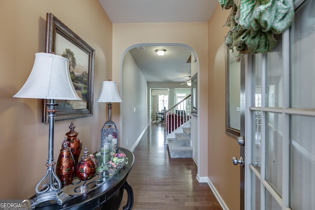 entrance foyer featuring ceiling fan and dark hardwood / wood-style flooring