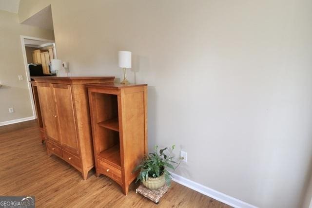 room details with hardwood / wood-style flooring