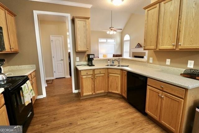 kitchen featuring ceiling fan, sink, light hardwood / wood-style flooring, lofted ceiling, and black appliances