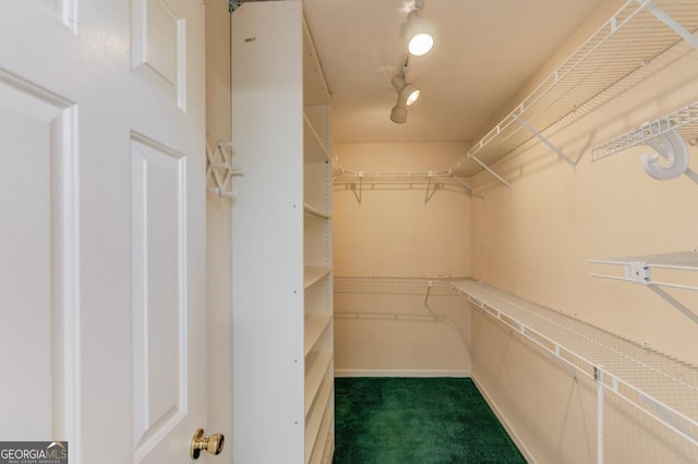 spacious closet with dark carpet