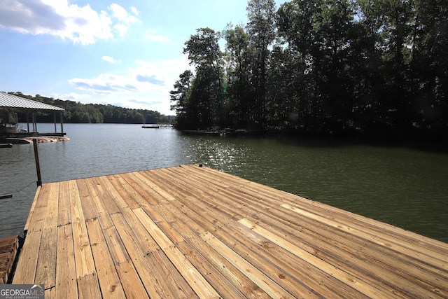 dock area with a water view