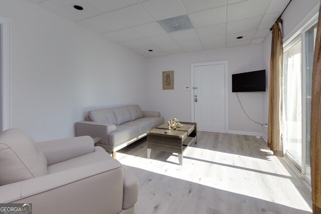 living room with a drop ceiling, a healthy amount of sunlight, and light hardwood / wood-style flooring