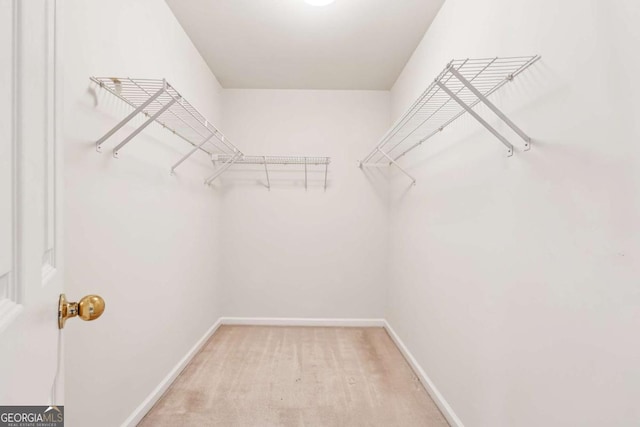 spacious closet with carpet flooring