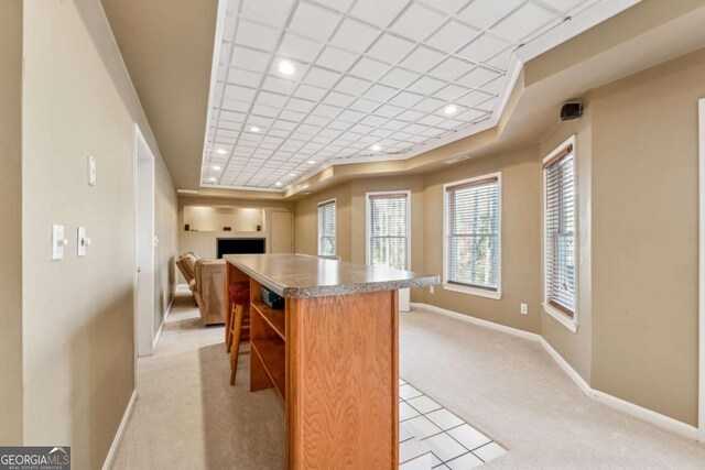 kitchen featuring light carpet