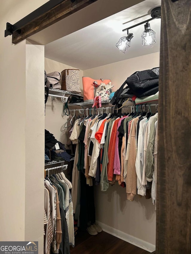 spacious closet featuring dark hardwood / wood-style floors