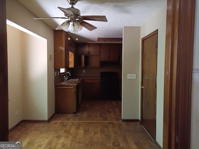 kitchen with hardwood / wood-style floors, a textured ceiling, ceiling fan, and sink