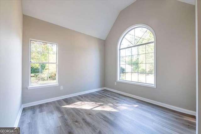 unfurnished room with wood-type flooring, vaulted ceiling, and a healthy amount of sunlight