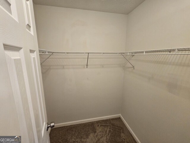 walk in closet featuring carpet floors