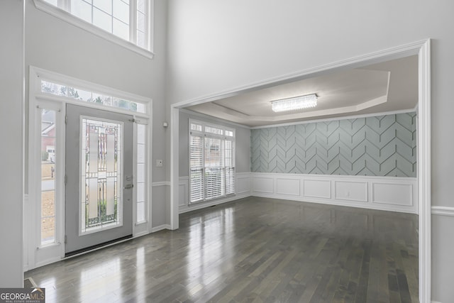 entrance foyer with dark hardwood / wood-style floors and a tray ceiling