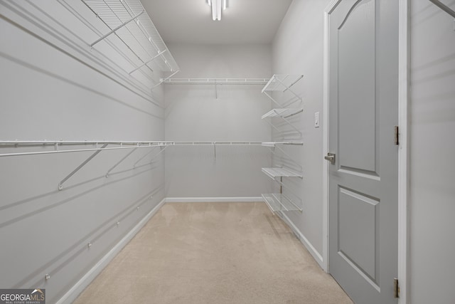 walk in closet with light colored carpet