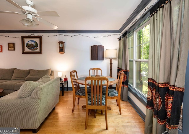 dining space with ceiling fan, light wood-type flooring, and crown molding