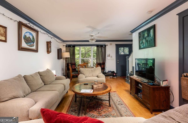 living room with light hardwood / wood-style flooring, ceiling fan, and ornamental molding