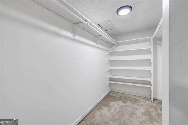 view of spacious closet