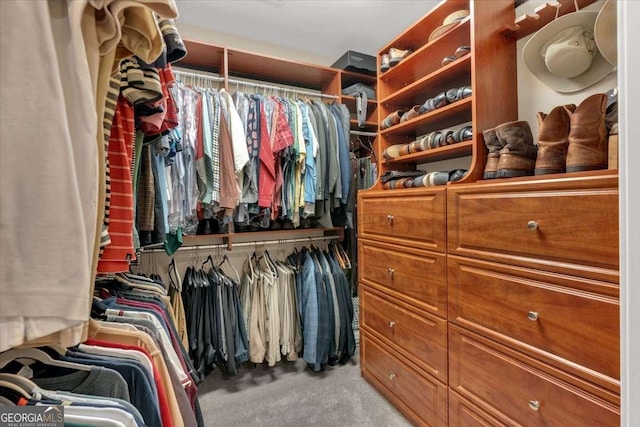 spacious closet with light carpet