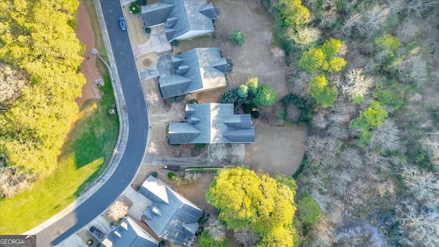 bird's eye view