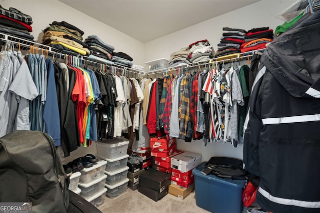 walk in closet with carpet